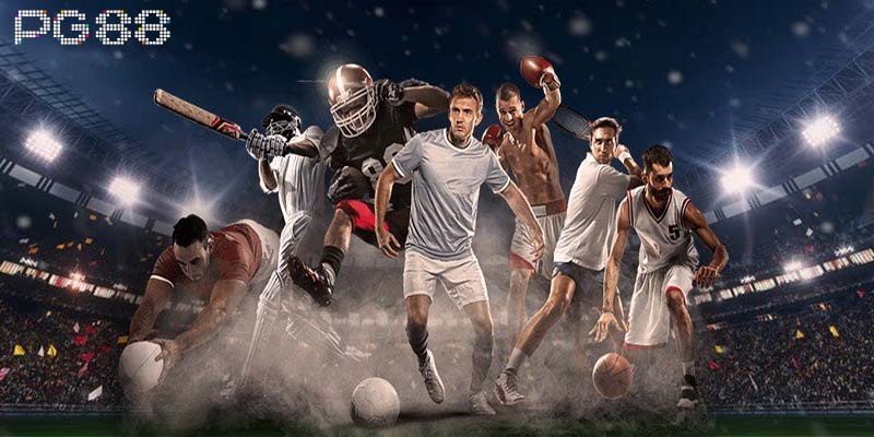 Những điều bạn cần biết về TF Sports 